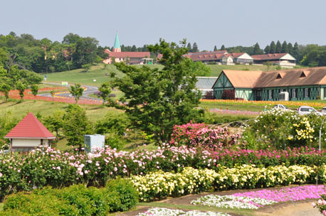 東京ドイツ村